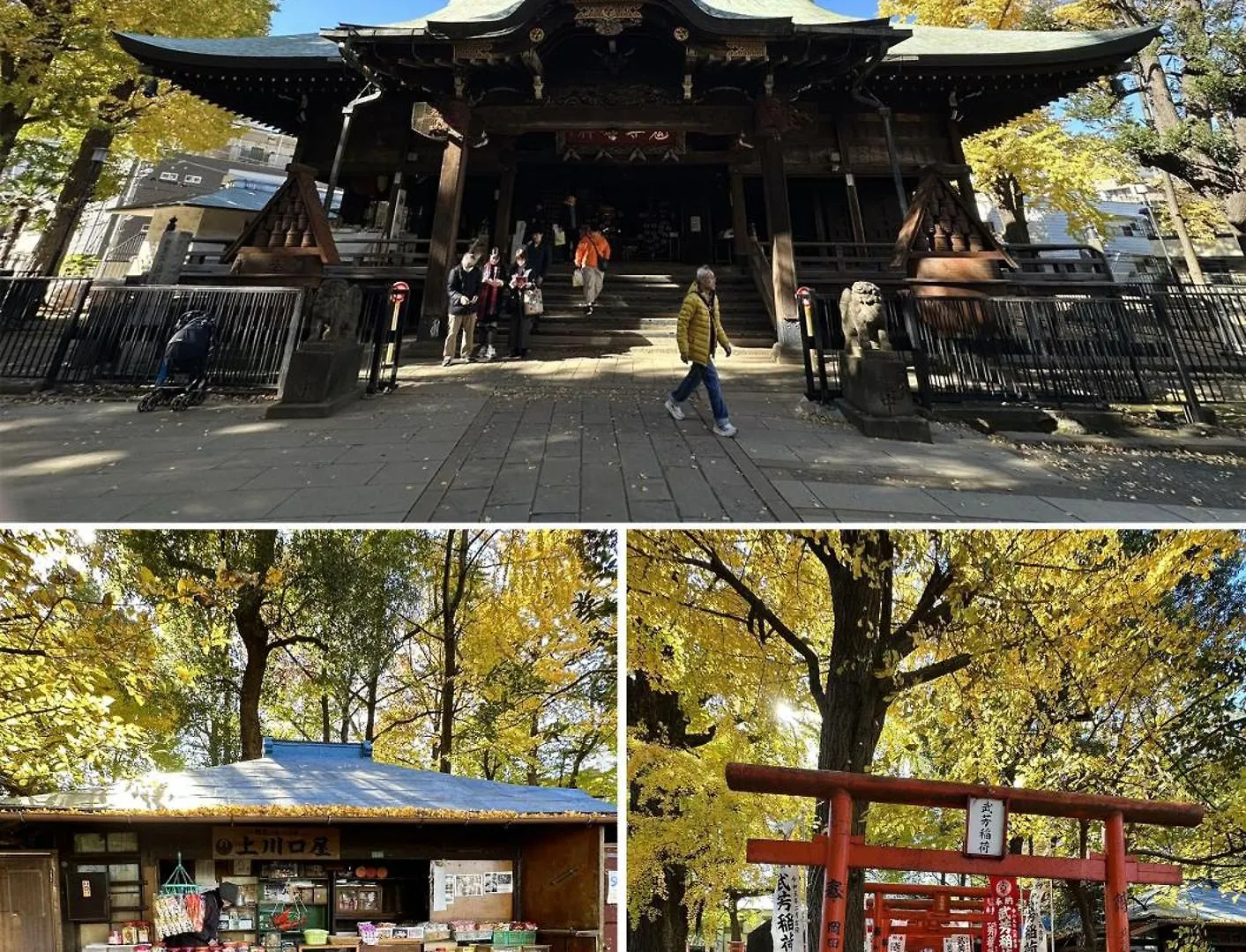 雅ⅰ Daire Tokyo Japonya